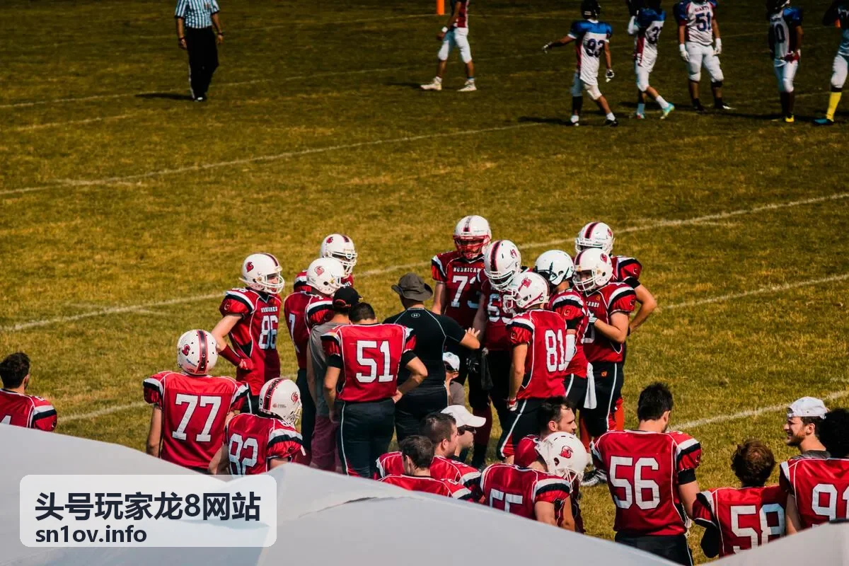 头号玩家龙8网站手机端入口二维码